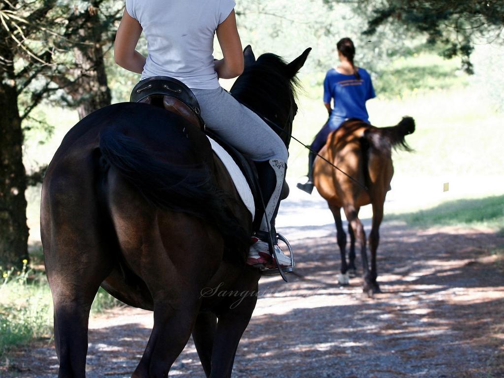 Agriturismo Sanguineto Acquaviva  ภายนอก รูปภาพ