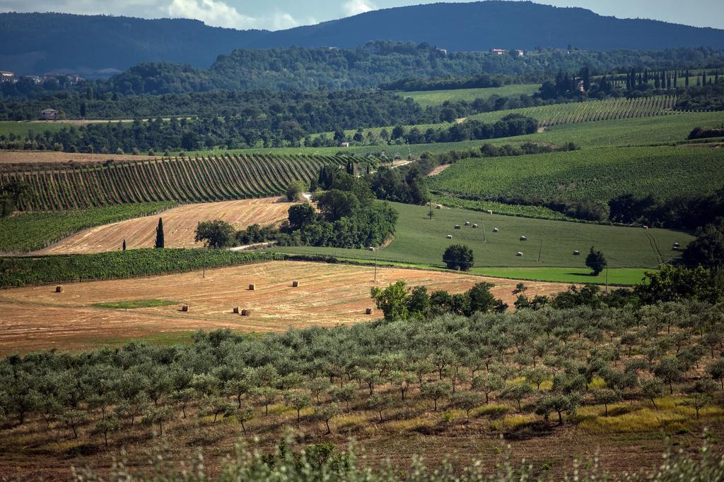 Agriturismo Sanguineto Acquaviva  ภายนอก รูปภาพ