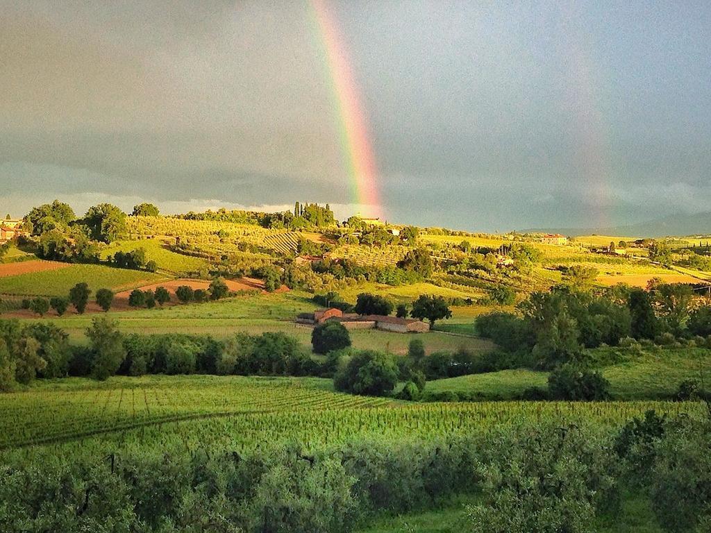 Agriturismo Sanguineto Acquaviva  ภายนอก รูปภาพ